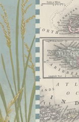 Seaside Shell Collection F