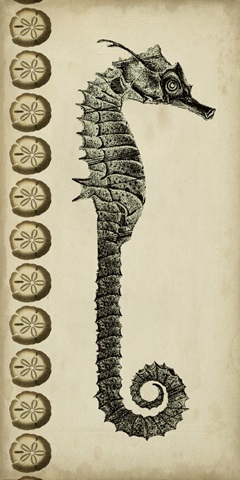 Traditional Coastal Collection B