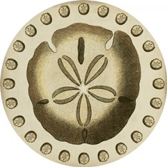 Traditional Coastal Collection C