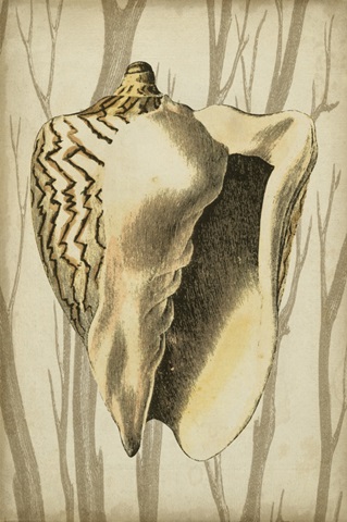 Traditional Coastal Collection D