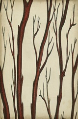 Traditional Coastal Collection E