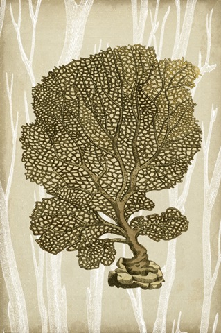 Traditional Coastal Collection F