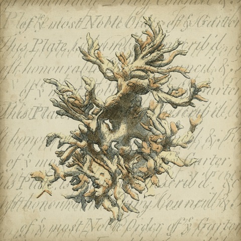 Traditional Coastal Collection G