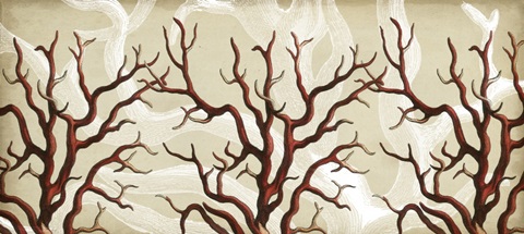 Traditional Coastal Collection H