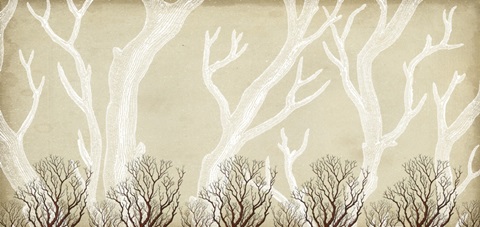 Traditional Coastal Collection K