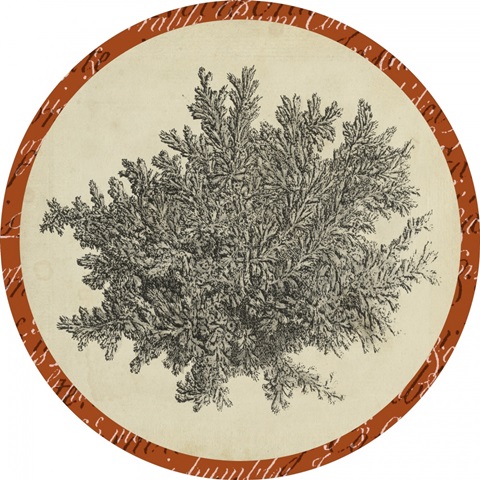 Traditional Coastal Collection M