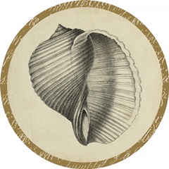 Traditional Coastal Collection N