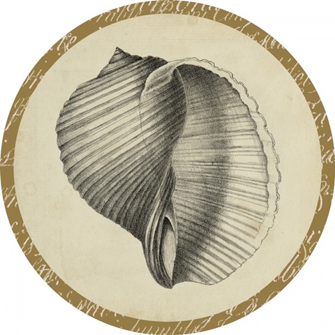 Traditional Coastal Collection N