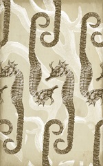 Traditional Coastal Collection O