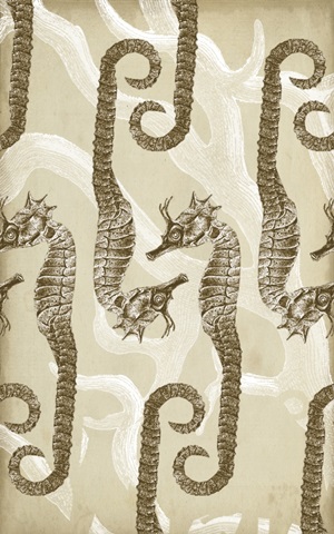 Traditional Coastal Collection O