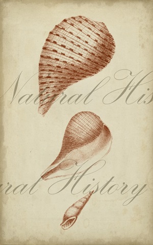 Traditional Coastal Collection P