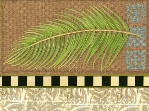 Transitional Palm Collection A