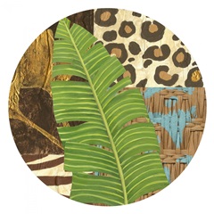 Transitional Palm Collection C