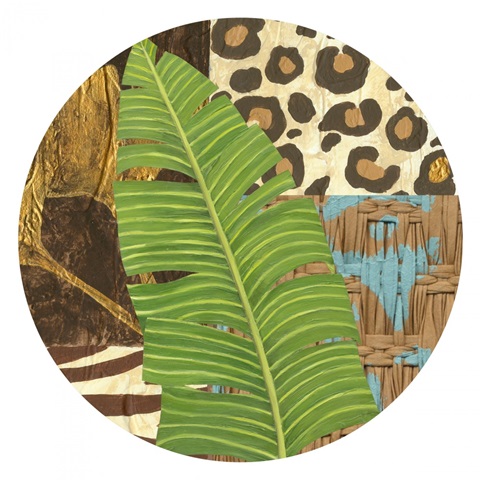 Transitional Palm Collection C