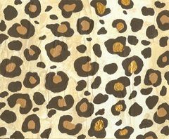 Transitional Palm Collection D