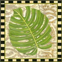 Transitional Palm Collection G