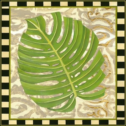 Transitional Palm Collection G