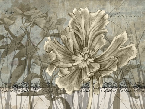 Tulip and Wildflower Collection A