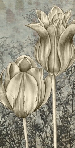 Tulip and Wildflower Collection B