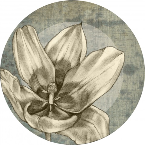 Tulip and Wildflower Collection C