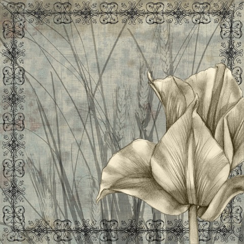 Tulip and Wildflower Collection G