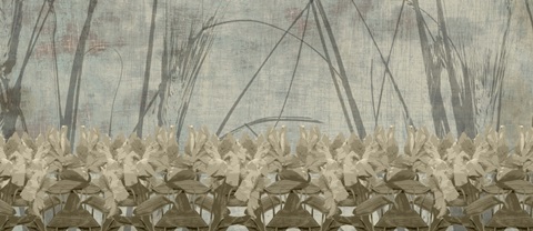 Tulip and Wildflower Collection H