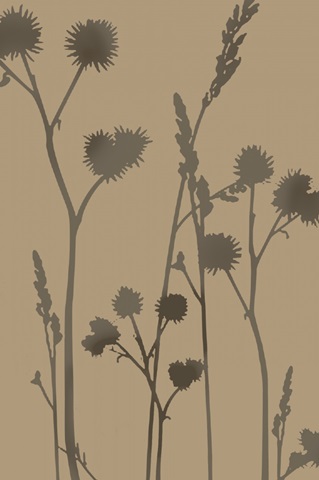 Birds and Wildflowers Collection D