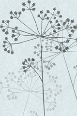 Birds and Wildflowers Collection F