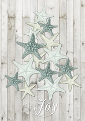 Coastal Christmas Collection B