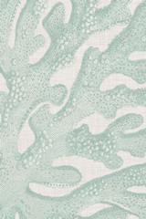 Coastal Christmas Collection F