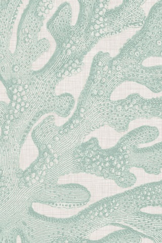 Coastal Christmas Collection F