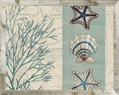 Coastal Kaleidoscope Collection A