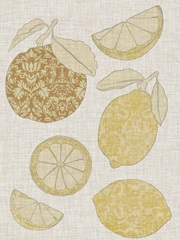 Contour Fruits and Veggies Collection D