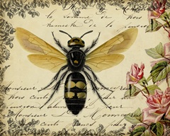 From the Rose Garden Collection A