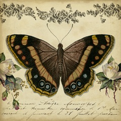 From the Rose Garden Collection C