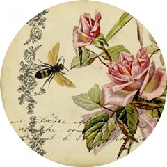 From the Rose Garden Collection E