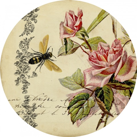 From the Rose Garden Collection E