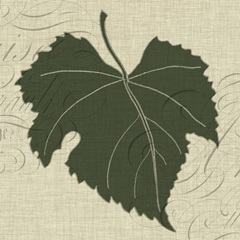 Graphic Wine Collection G