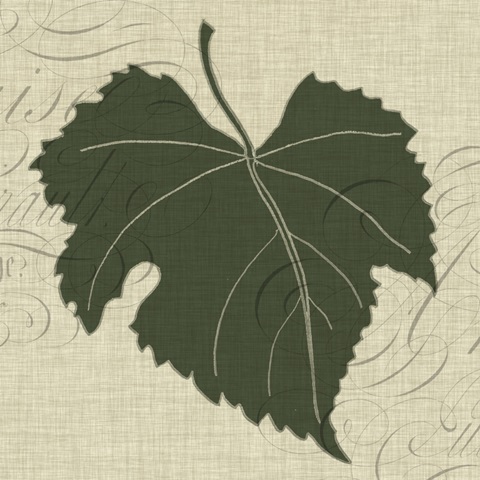 Graphic Wine Collection G