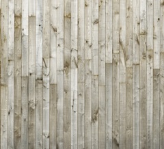 Lodge Christmas Collection F