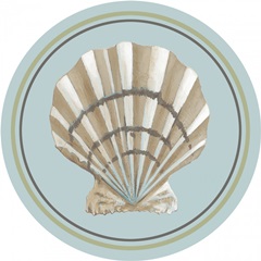 Riviera Shell Collection B