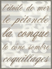 Riviera Shell Collection D