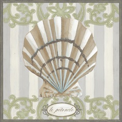 Riviera Shell Collection H