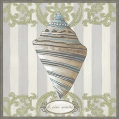 Riviera Shell Collection I