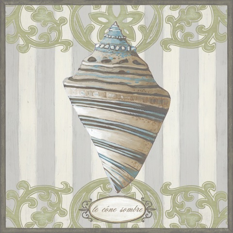 Riviera Shell Collection I