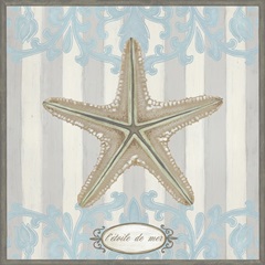 Riviera Shell Collection J