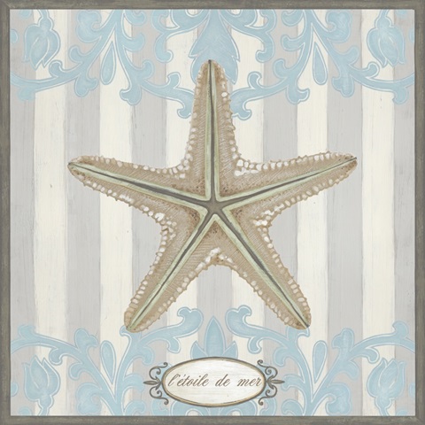 Riviera Shell Collection J