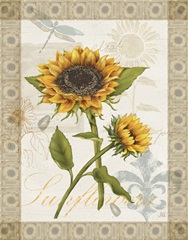 Romantic Sunflowers Collection A