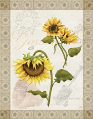 Romantic Sunflowers Collection B