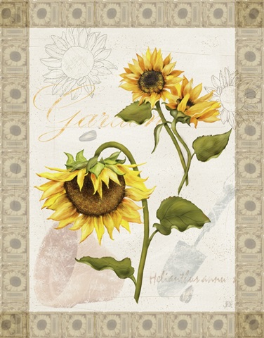 Romantic Sunflowers Collection B